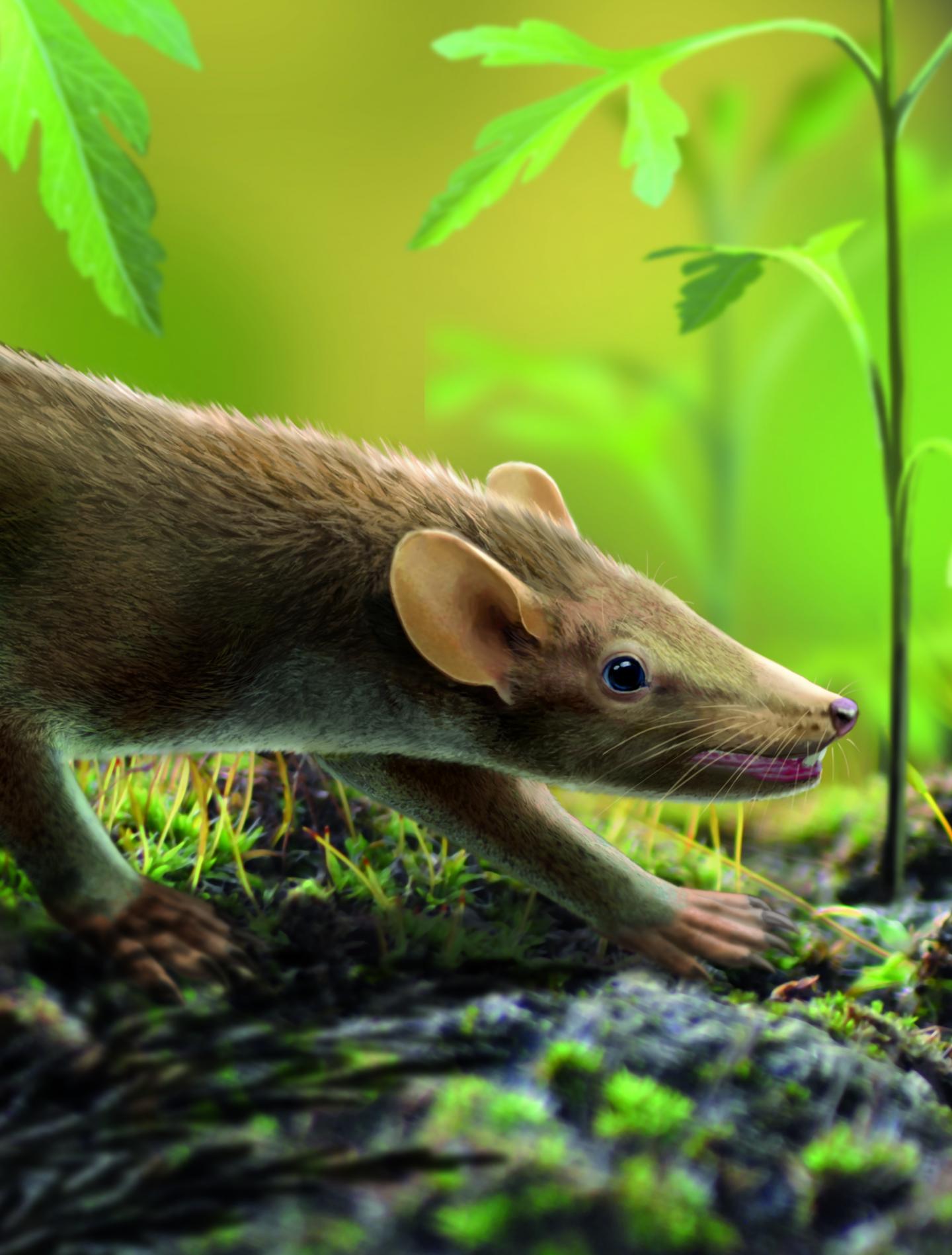 Prehistoric Mammals’ Dark Fur Was Key to Survival