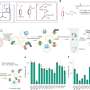 ‘Molecular library’ opens up new frontier of biological space-time