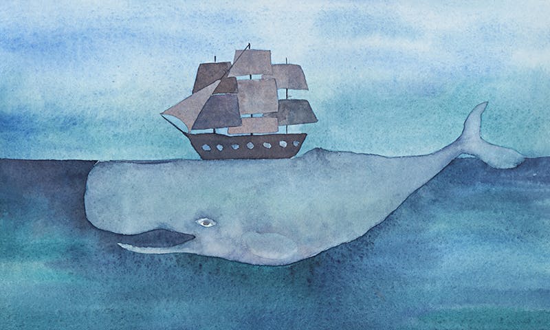 Ping, You’ve Got Whale