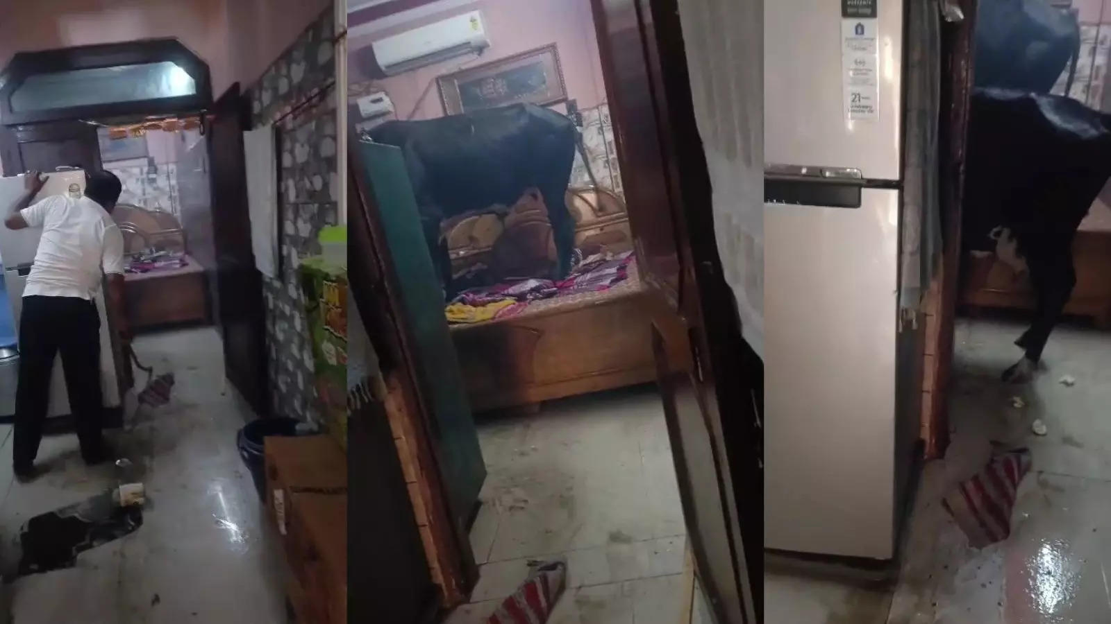 फरीदाबाद में गाय के पीछे-पीछे बेडरूम में घुसा सांड, बेड पर चढ़कर मचाया तांडव, पटाखे फोड़े तब जाकर न