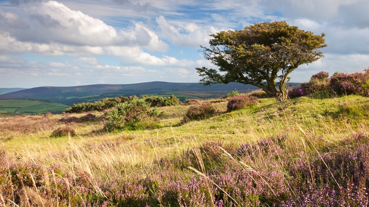 What to see and do in Exmoor National Park, England