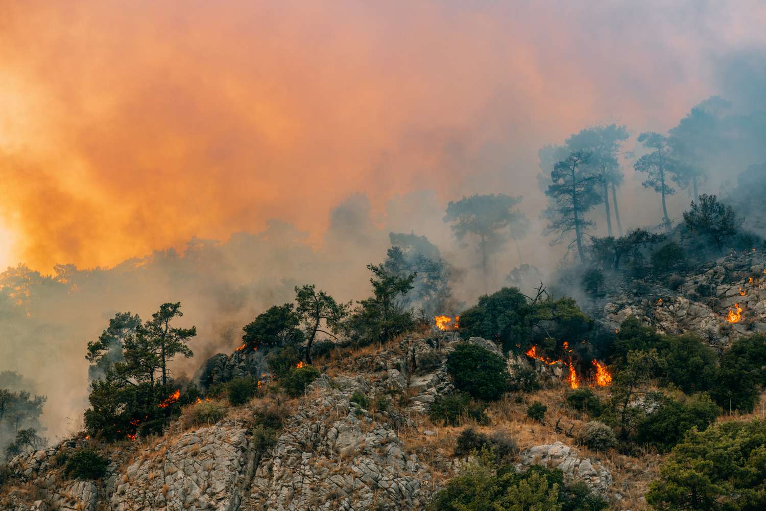 What’s the Difference Between Global Warming and Climate Change?