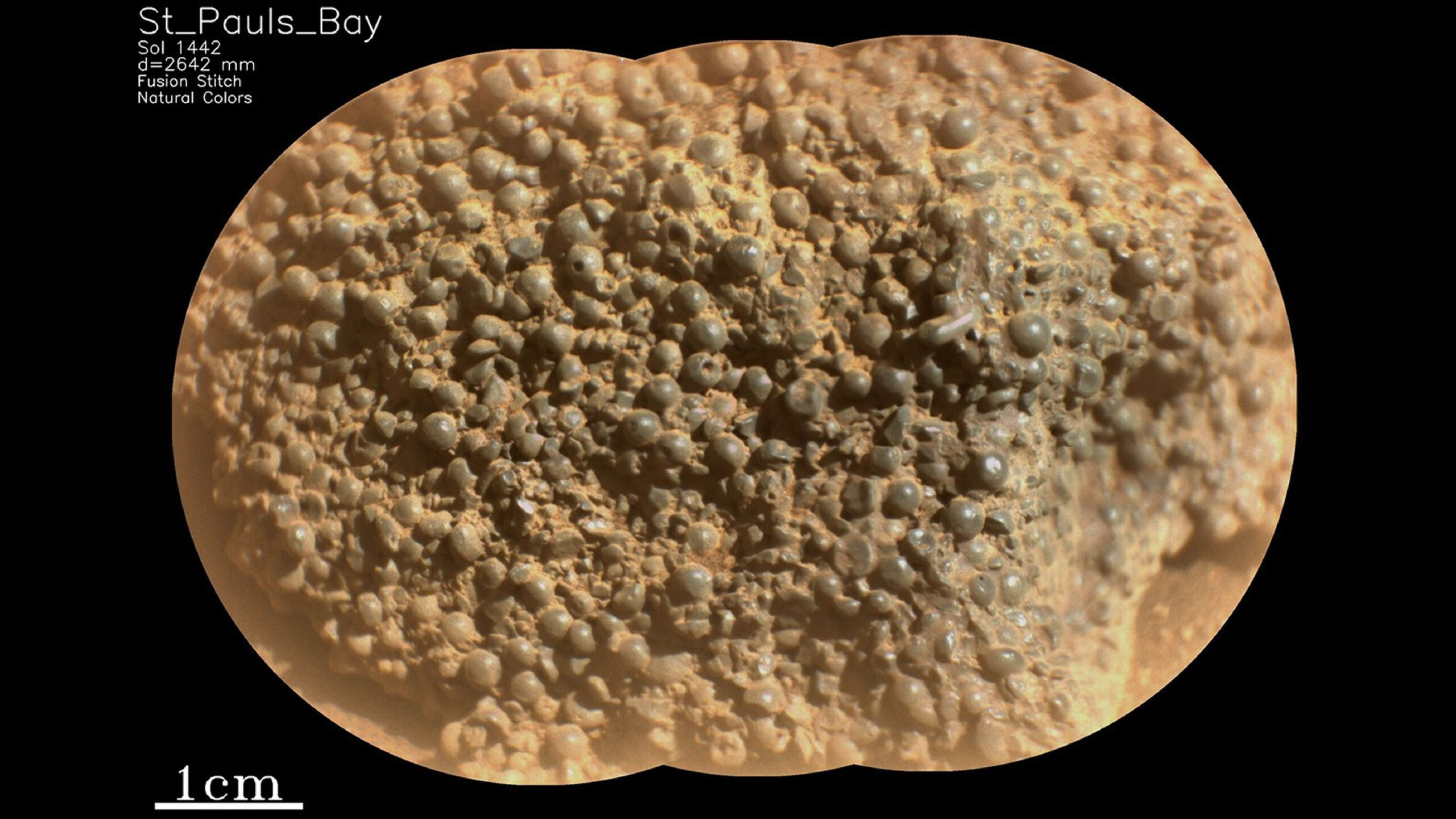 NASA rover spots hundreds of ‘spider eggs’ on Mars — and scientists have no idea how they got there