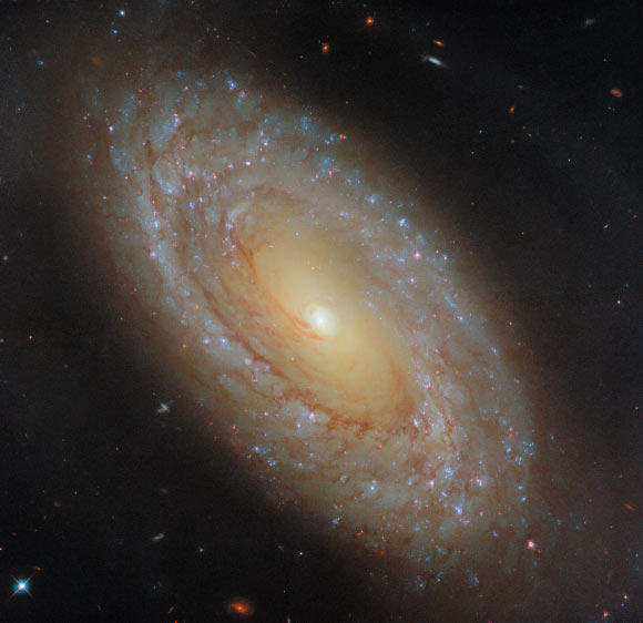 Hubble Space Telescope Spies NGC 3274