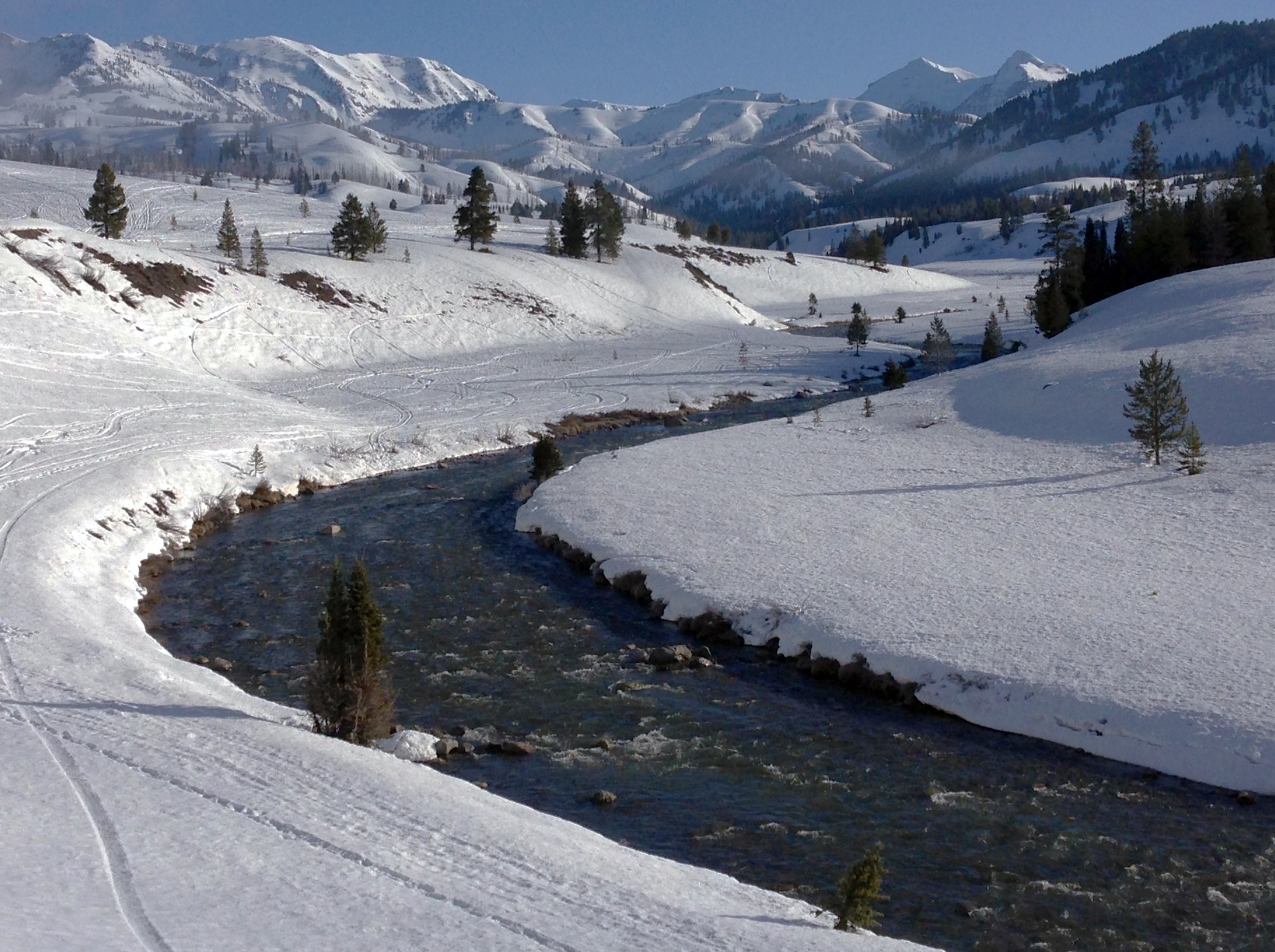 Metal Contaminants From Mines Lurk in Rocky Mountain Snow
