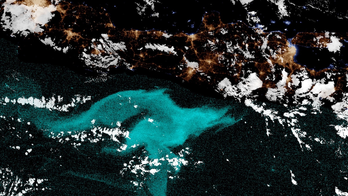 These glowing seas have baffled sailors for centuries. Science may finally have answers.