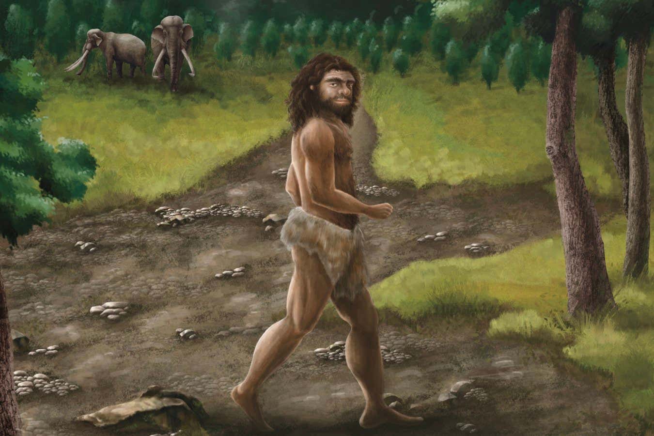 Denisovan fossil from Taiwan gives clue to mysterious ancient humans
