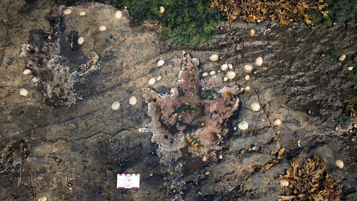 Trove of dinosaur footprints reveal Jurassic secrets on Isle of Skye where would-be Scottish king Bonnie Prince Charlie escaped