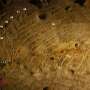 Why children may have taken part in creating prehistoric cave art