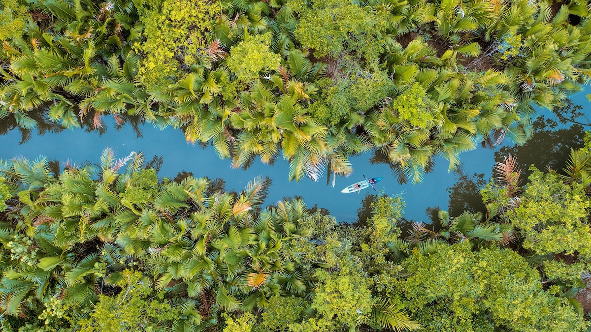 Are the world’s rivers dying? Robert Macfarlane looks for answers in his new book Is a River Alive?