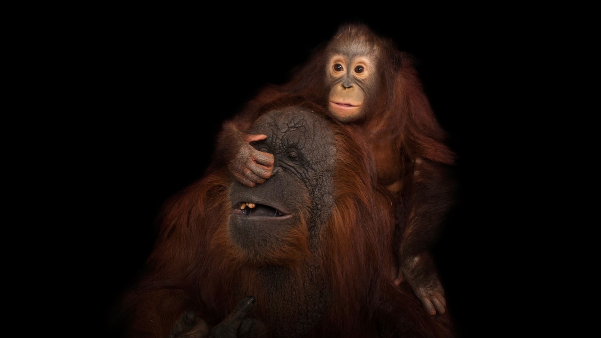 Want to see baby animals cuddling with their moms? We’ve got you covered.