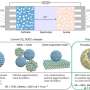 Durable catalyst boosts efficiency of high-temperature CO₂ conversion