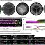 Improved model system allows researchers to study embryo development