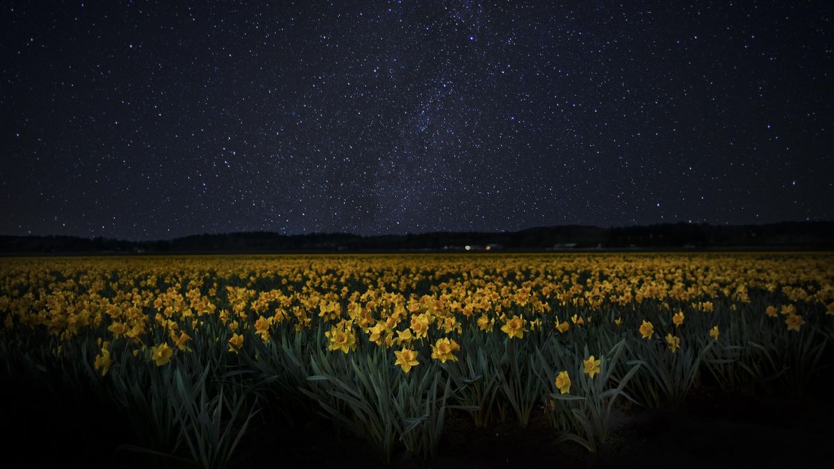 May’s best stargazing week is about to begin. How to see a lion, an upside-down bear, a mini ‘planet parade’ — and more.