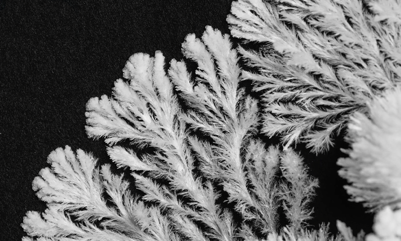 The Visual Language of Crystals