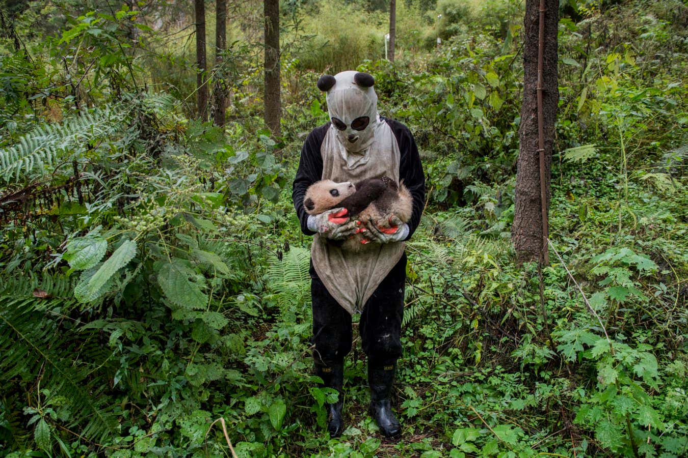 Powerful images capture the fragility and resilience of our planet