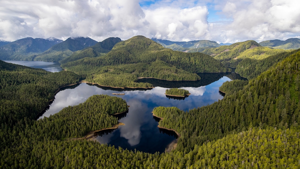 What to do on Vancouver Island’s eastern coastline, from whale-watching to whisky tasting