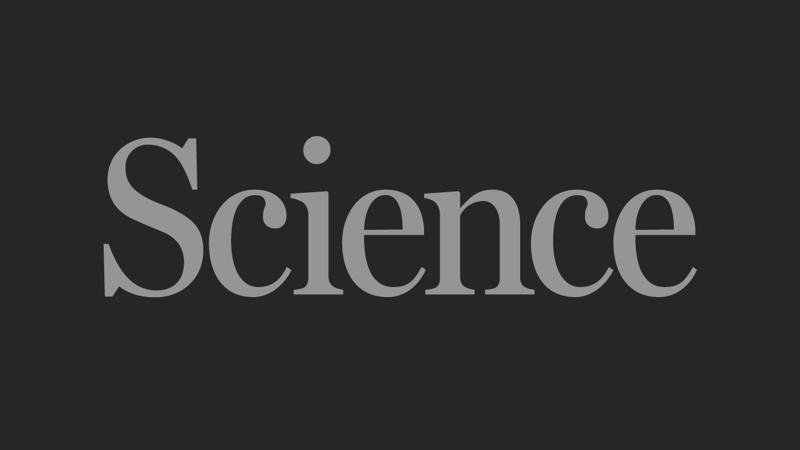 New case law and liability risks for manufacturers of medical AI | Science
