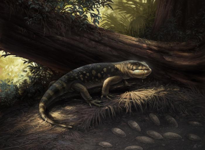 Newly Identified Monstersaur Lizard Had an Armored Skull and Walked Among Dinosaurs