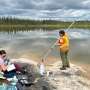 Rare earth metals that compete for uptake may blunt their own environmental impact on aquatic organisms