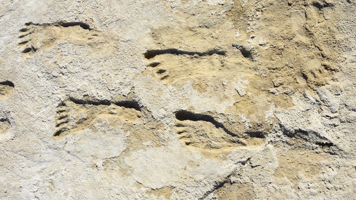 Evidence is building that people were in the Americas 23,000 years ago
