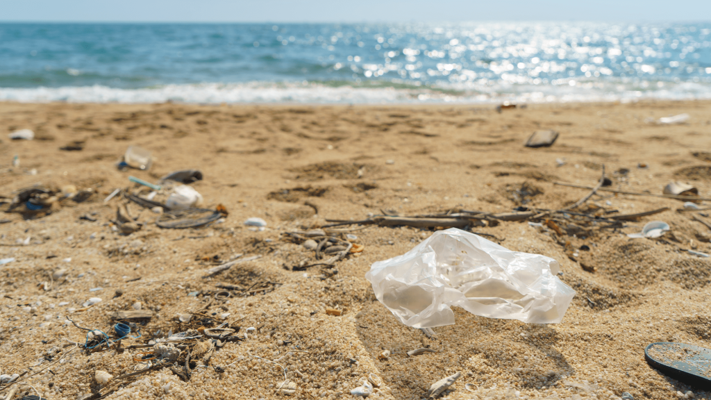 Plastic bag bans work, new study shows
