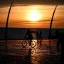 UK risks more extreme, prolonged heat waves in future: Study