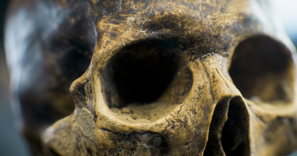 146,000-Year-Old Dragon Man Skull Confirmed as Denisovan Through Dental DNA