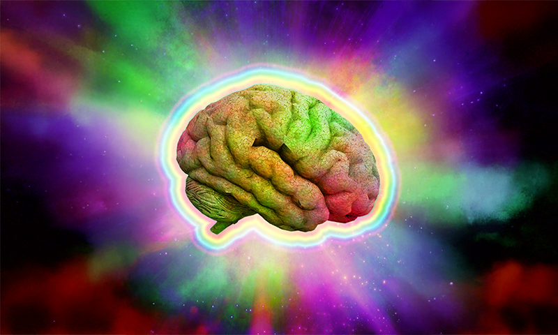 The Science of Tripping Comes to Town