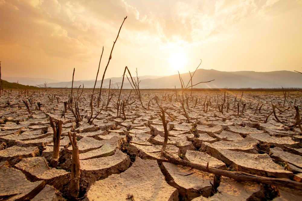 Ancient Africa’s Climate Was Unexpectedly Rainy, Muddying the Story of Early Humans