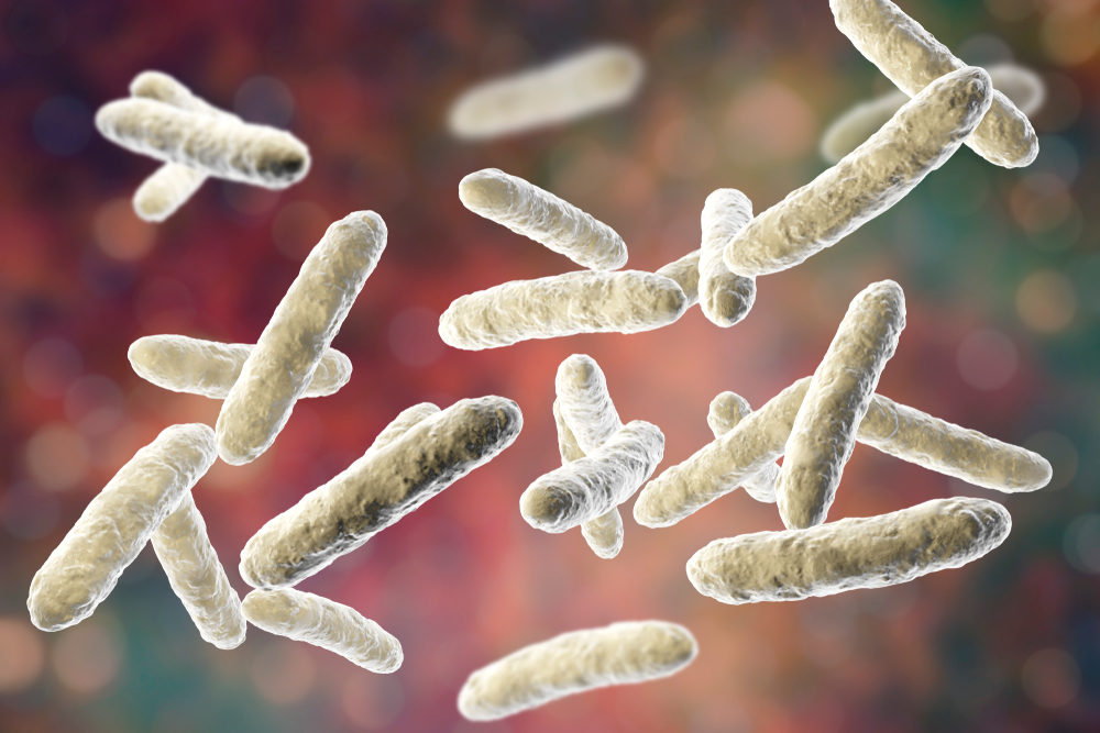 Poop Could Possibly Predict If an Ill Patient Is Likely to Die Within 30 Days