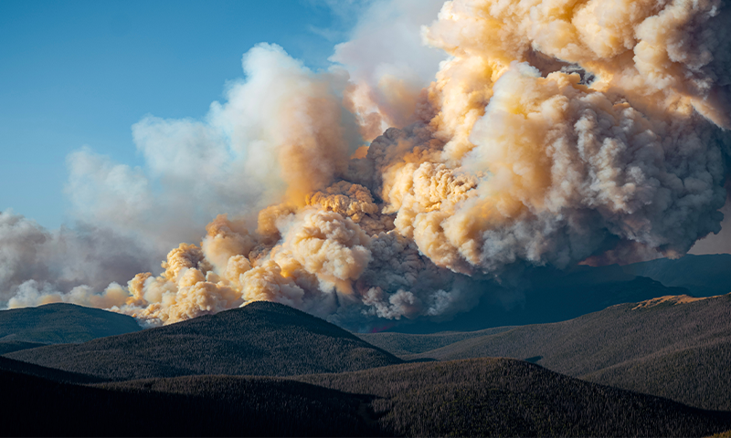 The Weird Cooling Effect of Wildfires
