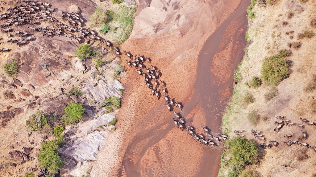 How to plan a trip to see Africa’s Great Migration