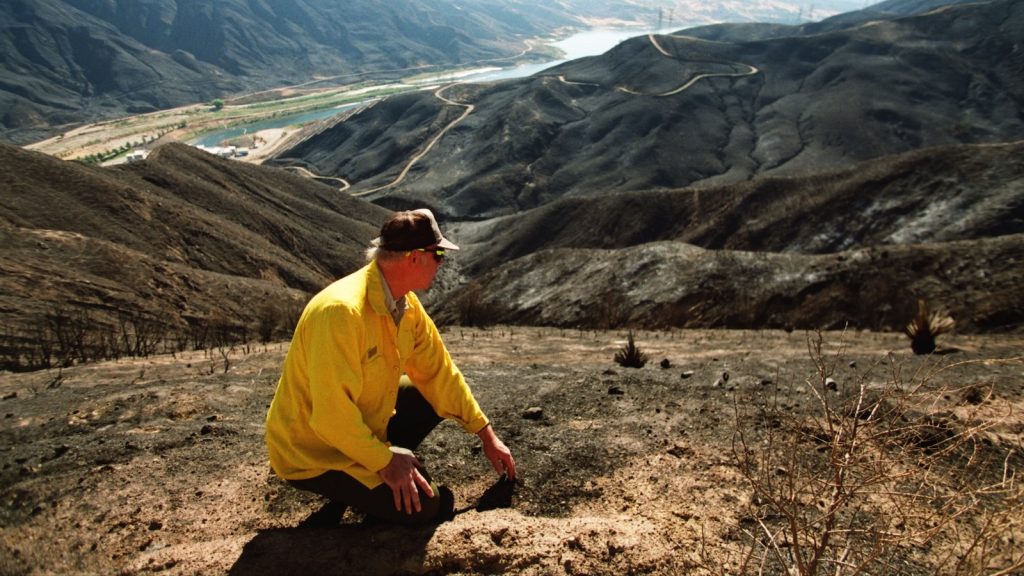 Pollution from wildfires can contaminate our water for up to eight years, new study finds