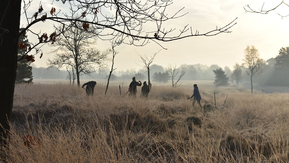 Roman army camp found in Netherlands, beyond the empire’s frontier