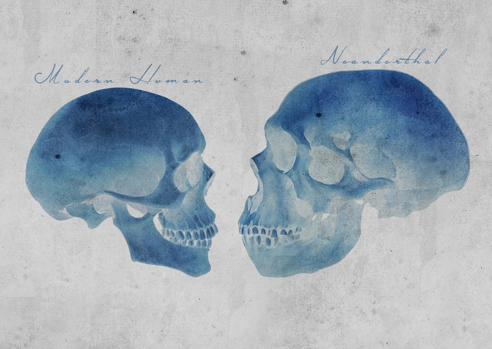 What Our World May Have Looked Like If Neanderthals Hadn’t Died Off