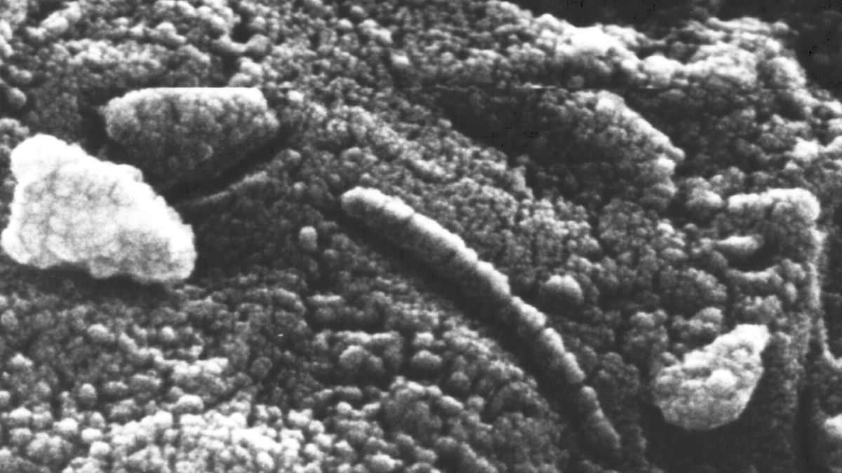 Is the bar higher for scientific claims of alien life?
