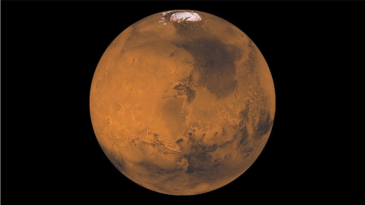 Does Mars have a moon?