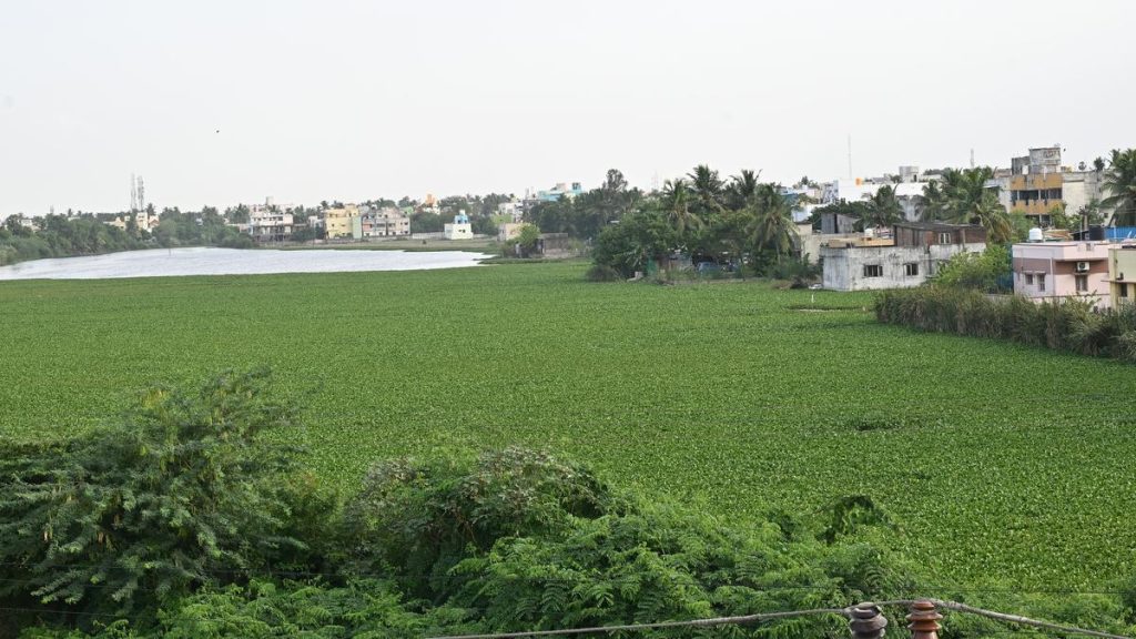 Thirumullaivoyal, a fast-developing suburb, struggles with poor roads and water woes