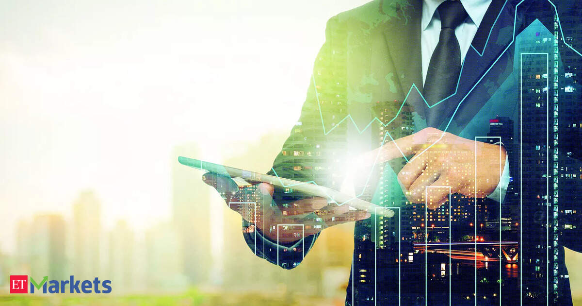 Investors seek safety in largecaps amid global uncertainty in H1 2025