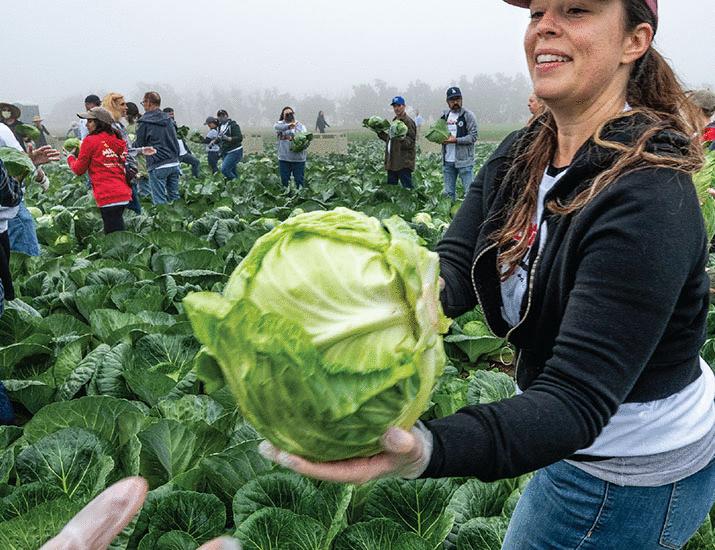 Producing hunger | Science