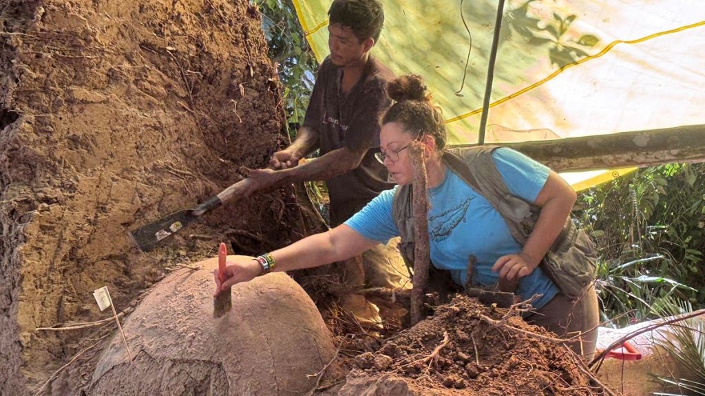 A tree fell in the Amazon—and revealed mysterious urns of ancient human remains