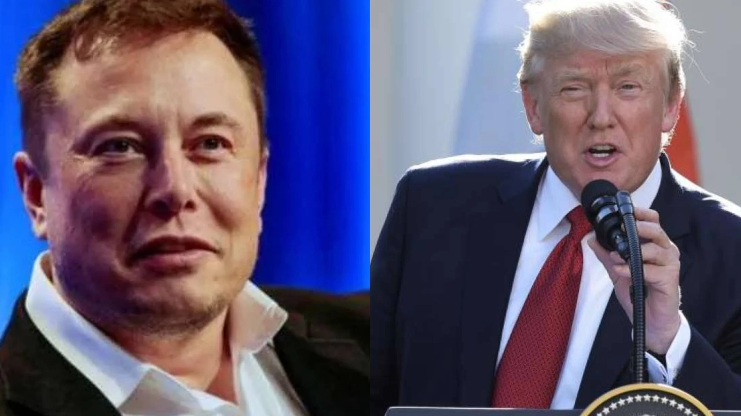 Is Tesla About to Shut Down ? Trump Says It Can’t Survive Without Federal Help-