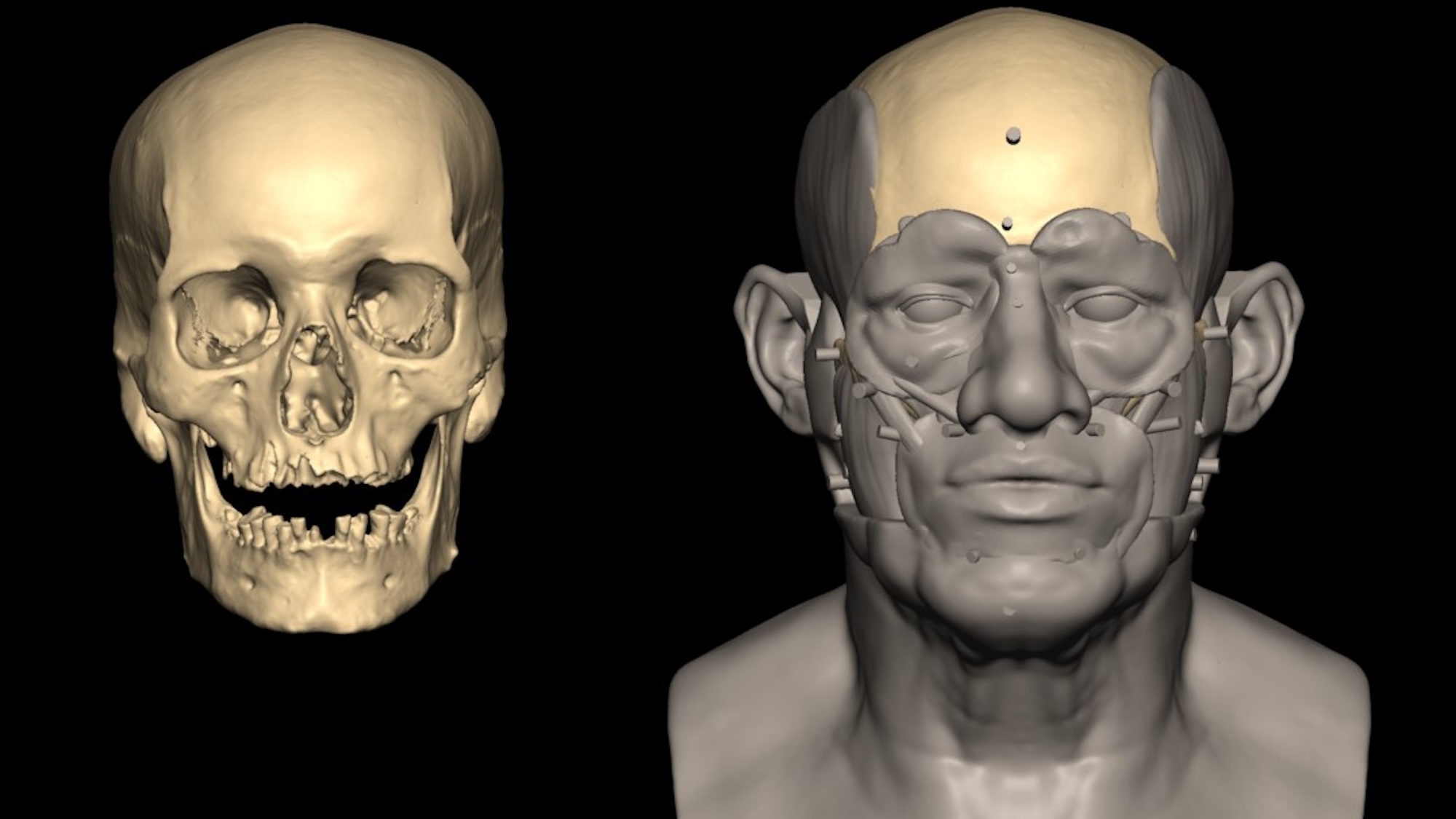 First complete ancient Egyptian DNA genome reveals his occupation