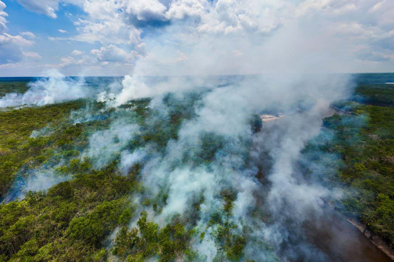 Carbon-offset schemes aren’t prepared for forests to burn