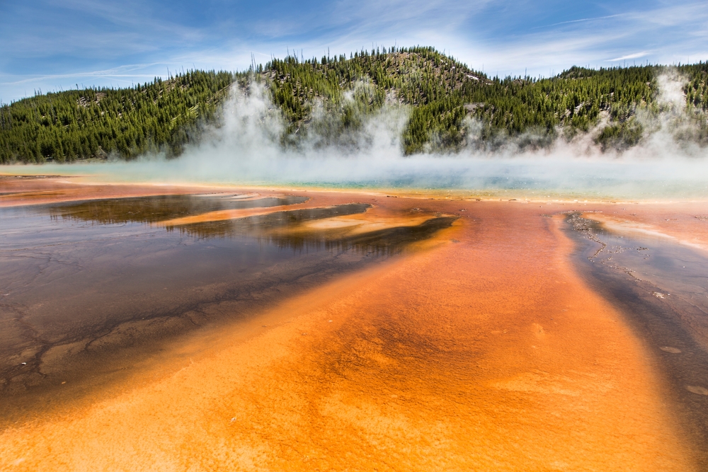Yellowstone Hot Springs Create Perfect Environment for Ancient Microbes