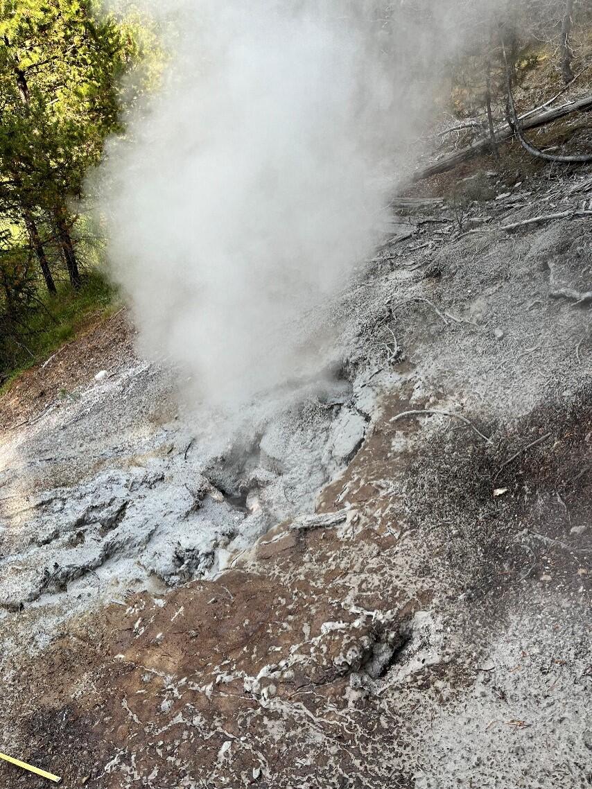 Could Yellowstone National Park Visitors See New Thermal Feature Again This Summer?
