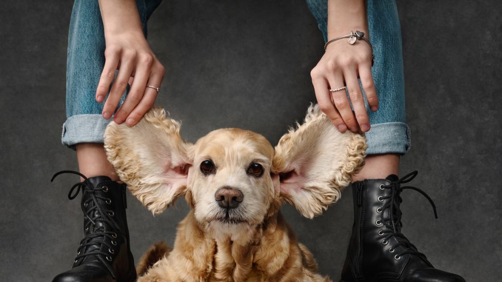 Señor Snoofioso? Why we give our pets such weird nicknames—according to scientists