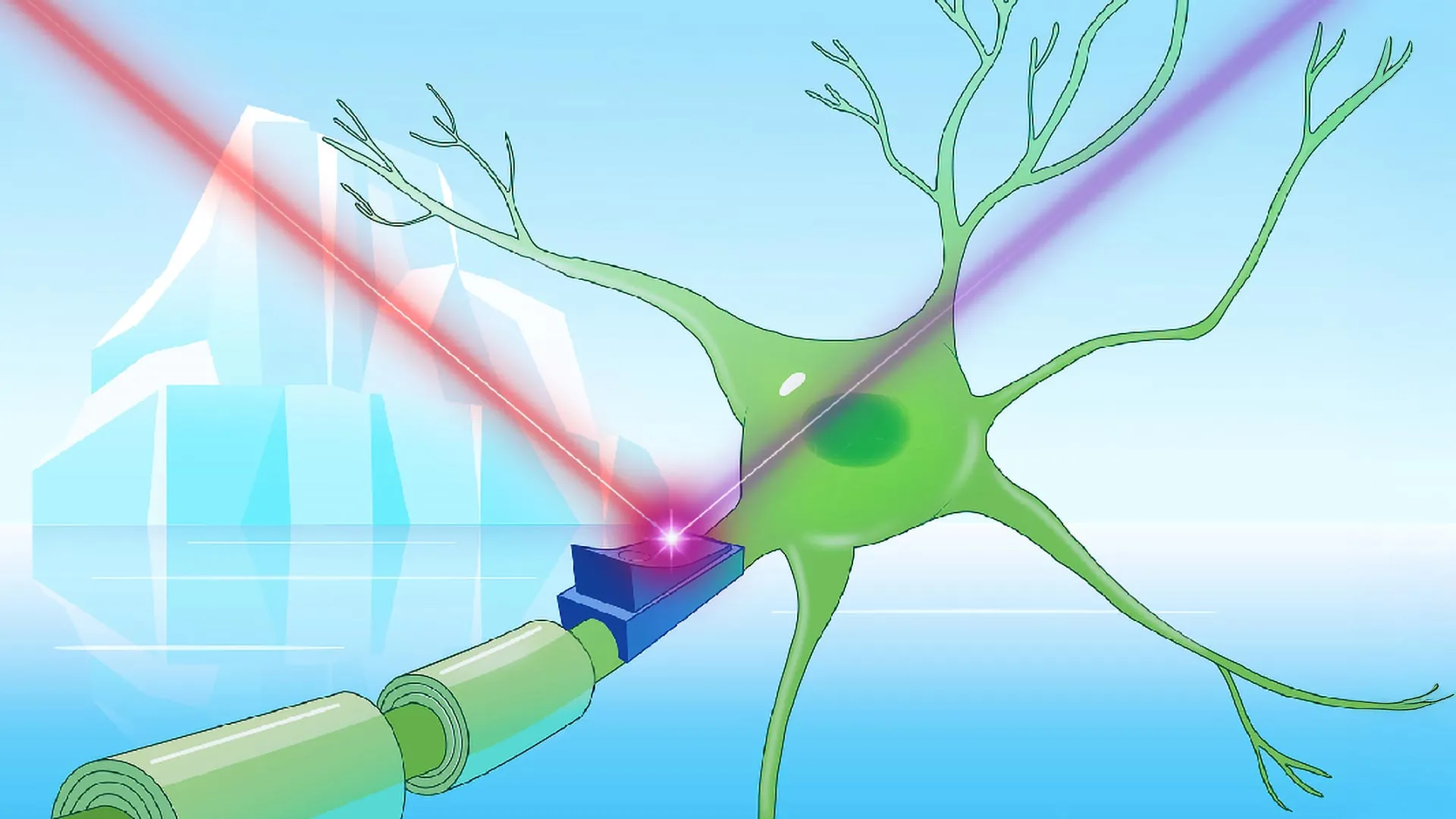 Frozen light switches: How Arctic microbes could revolutionize neuroscience