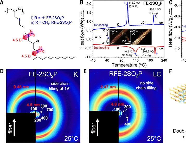 Fluorine-free strongly dipolar polymers exhibit tunable ferroelectricity | Science